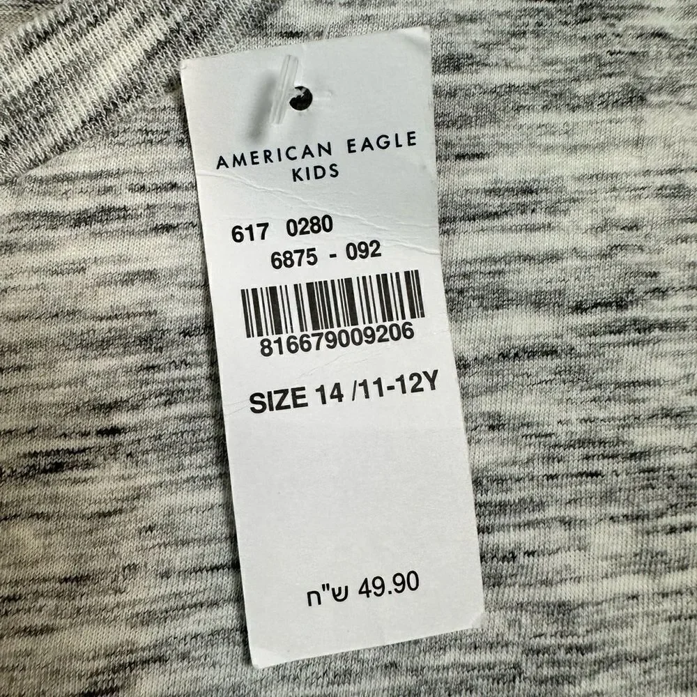 NWT American Eagle Kids Boys 2 Short Sleeve Tee Shirts Gray Logo Blue Palm - 14